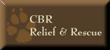 CBR Rescue
